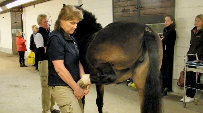 Köpebesiktning – viktigast för säljaren