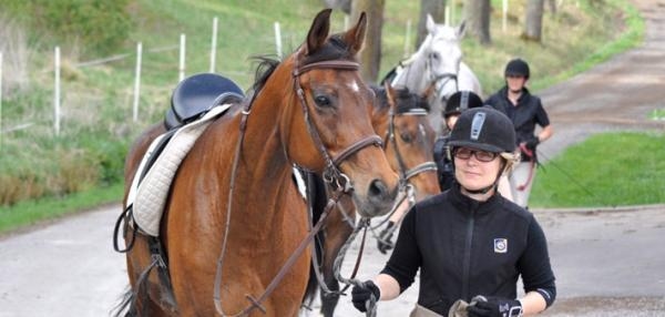 Pia Skoglund leder Tua Marina från ett ridpass på Brolöten.