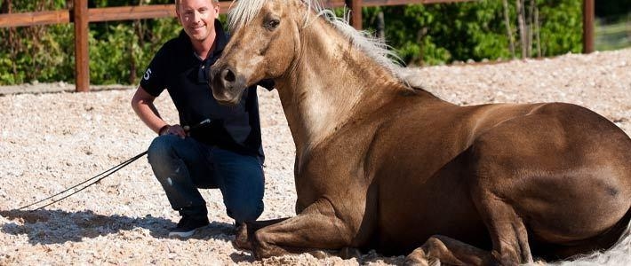 Det har hela tiden varit en självklarhet att tv-inspelningarna ska ske på Tobbes anläggning tillsammans med de egna hästarna.