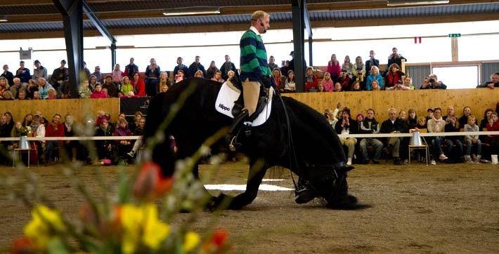 Tobbe tar med sig arbetet från marken upp på hästryggen. Hippson avråder från ridning utan hjälm.