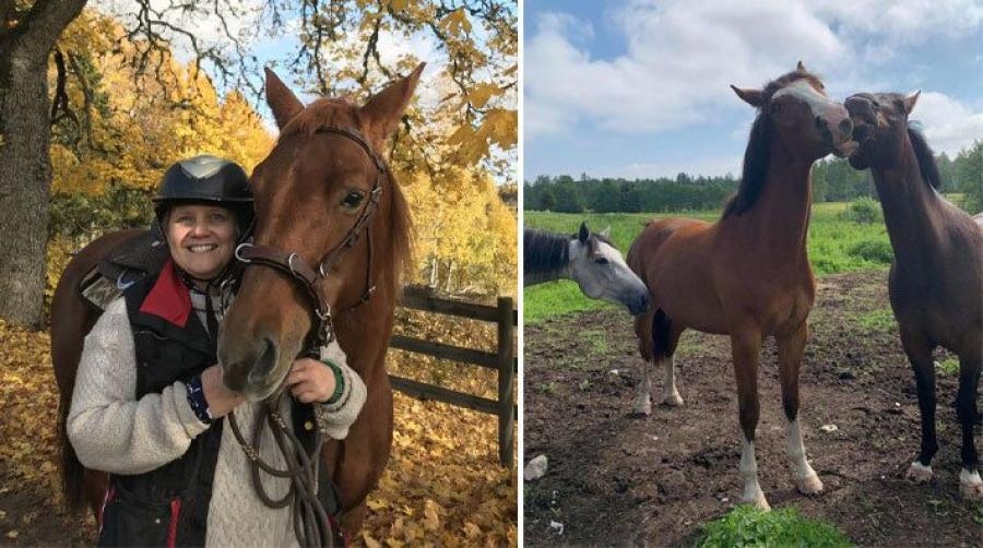 För Maria Yttermyr är det A och O att hästens levnadsmiljö är tillfredställande ur ett hästperspektiv innan den förväntas prestera på träning.