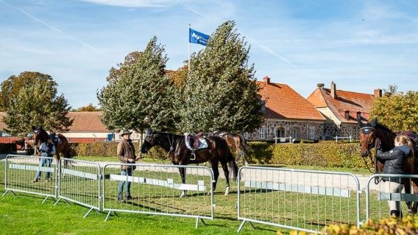 TR – tävlingsreglementet – reglerar allt som handlar om tävling, från uppvärmning till själva tävlingsmomentet och resultaträkning.