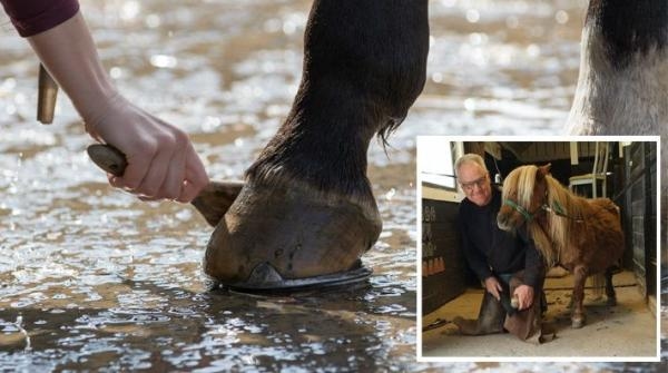 Gästbloggen: Hovslagarens uppmaning i torkan