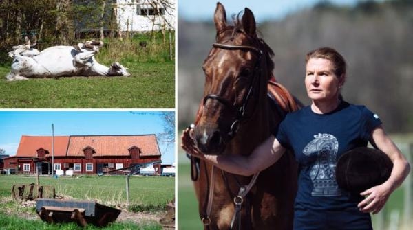 Landslagsryttaren Helena Persson har fått en fråga om omhoppning. Finns det alls något sätt att träna på att rida mot klockan hemmavid?