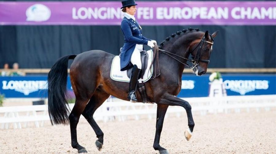 Tinne Vilhelmson Silfvén och Paridon Magi vid EM i Göteborg 2017. Arkivfoto: Tomas Holcbecher