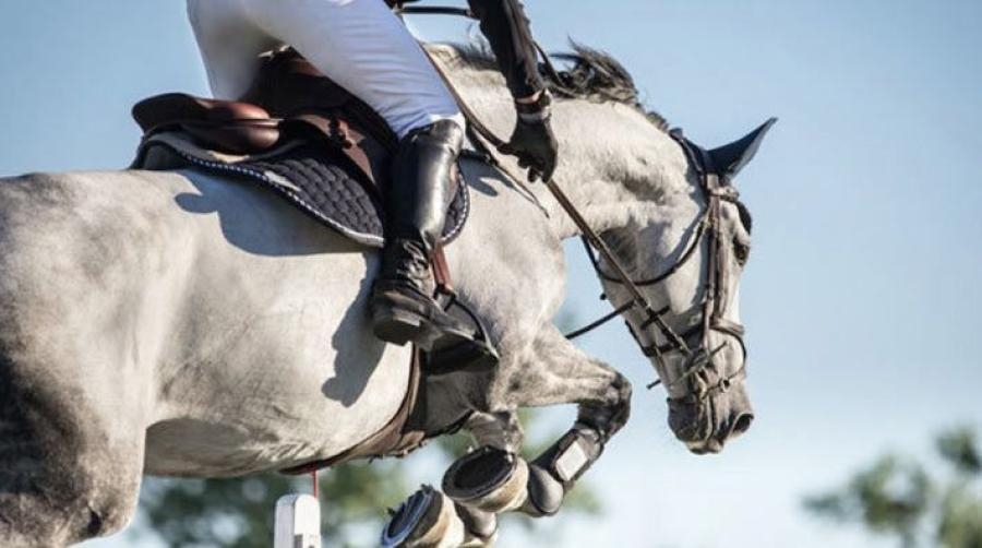 En läsare behöver hjälp med sin pigga ponny, som brukar bocka och springa i väg efter hindret vid hoppning. Karin Martinsen hjälper till och svarar.