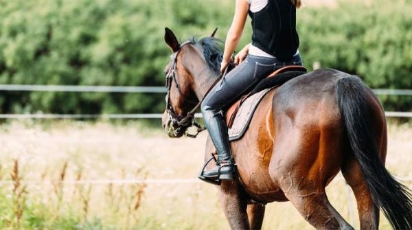 En läsare har en unghäst på sex år som har börjat stanna vid uteritt och inte vill gå fram. Dressyrexpert Nina Bengtsson hjälper till och ger goda råd.