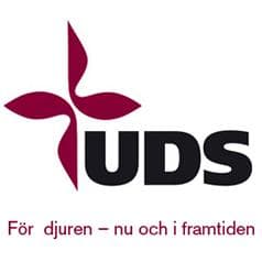 Team UDS